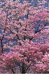 《漫威蜘蛛侠》系列销量突破5000万套